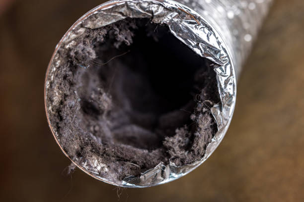 Best HVAC Maintenance and Cleaning  in East Quogue, NY